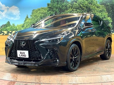 صورة مصغرة 56 لـ 2023 Lexus NX