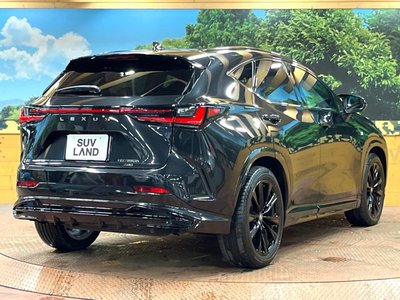 صورة مصغرة 17 لـ 2023 Lexus NX