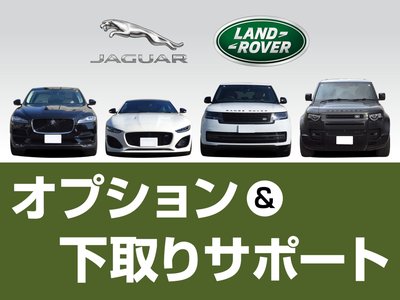 2025 LAND Rover DEFENDER photo 2