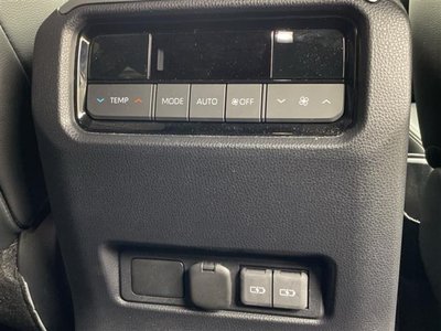 2024 Toyota LAND CRUISER 250 照片 13