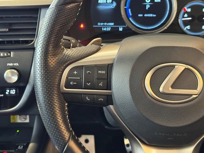2019 Lexus RX photo 12