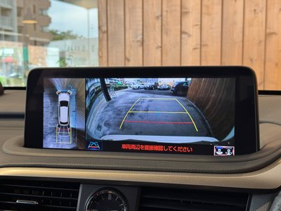 2019 Lexus RX thumbnail 18