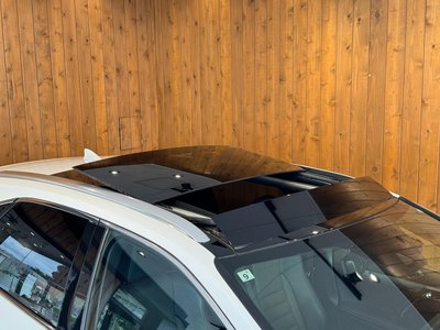 2019 Lexus RX thumbnail 36