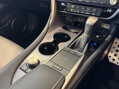 2019 Lexus RX thumbnail 21