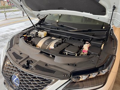 2019 Lexus RX thumbnail 56
