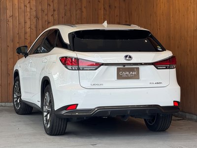 2019 Lexus RX photo 5