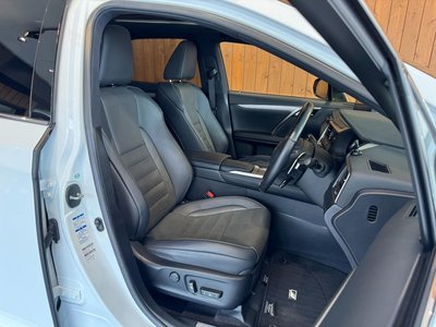 2019 Lexus RX thumbnail 26