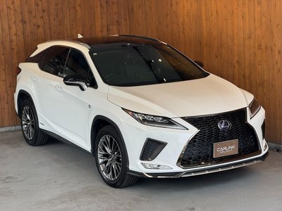 2019 Lexus RX thumbnail 34