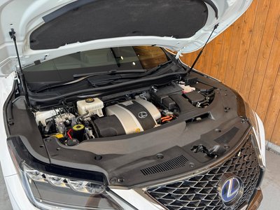 2019 Lexus RX thumbnail 58