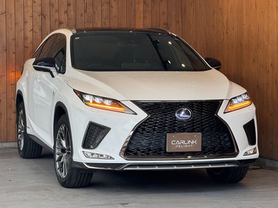 2019 Lexus RX thumbnail 32