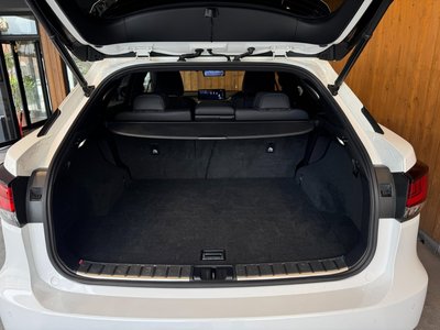 2019 Lexus RX thumbnail 52