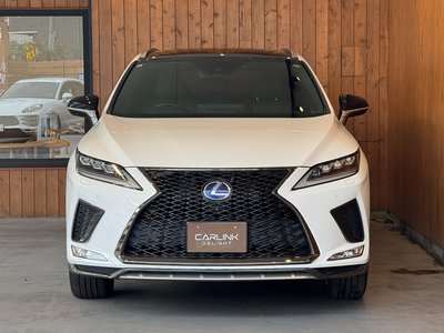 2019 Lexus RX thumbnail 30