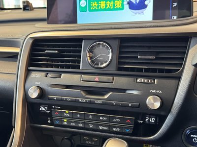 2019 Lexus RX thumbnail 19