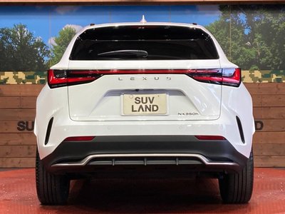 2024 Lexus NX — миниатюра 15