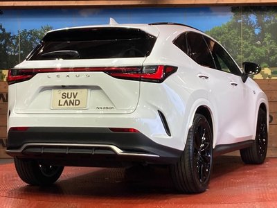 2024 Lexus NX — миниатюра 17