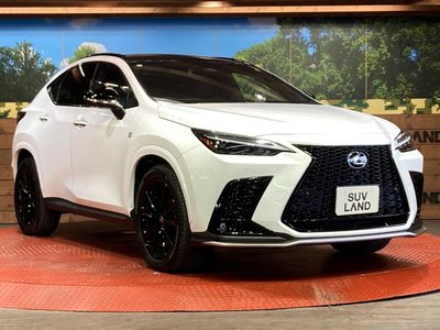 2024 Lexus NX — миниатюра 16