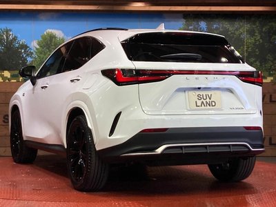 2024 Lexus NX — миниатюра 28