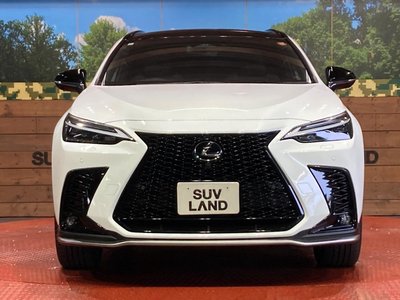 2024 Lexus NX — миниатюра 14