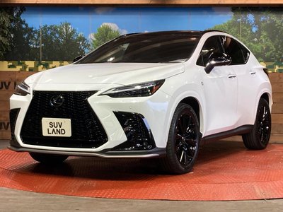 2024 Lexus NX — миниатюра 26