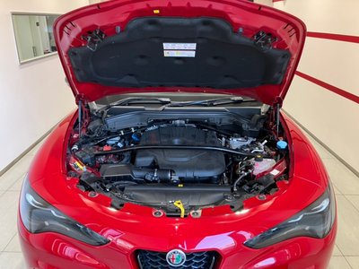 صورة 11 لـ 2024 ALFA Romeo STELVIO
