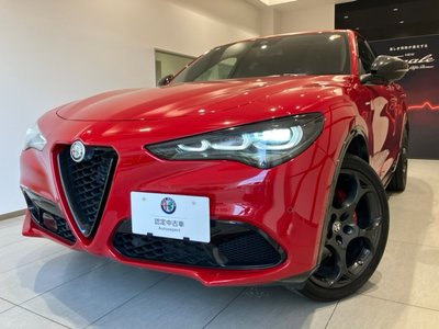 صورة 7 لـ 2024 ALFA Romeo STELVIO