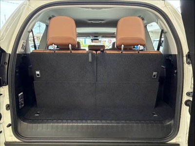 2022 Toyota LAND CRUISER PRADO 照片 13
