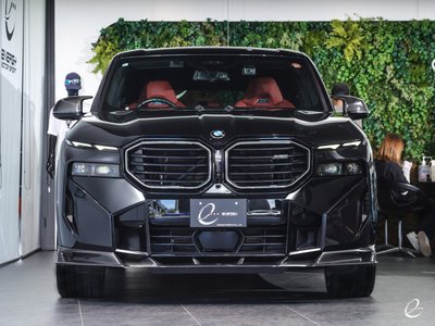 2023 BMW XM — фото 30