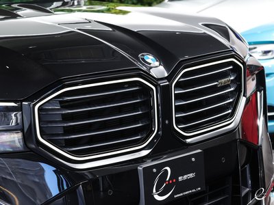 2023 BMW XM — фото 21