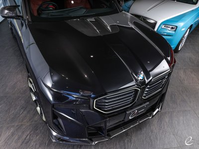 2023 BMW XM — фото 29
