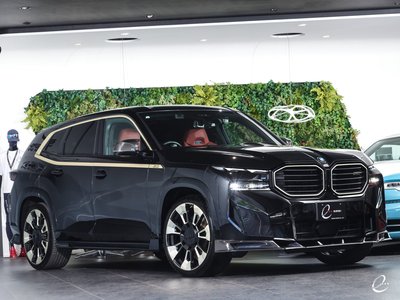 2023 BMW XM — фото 13