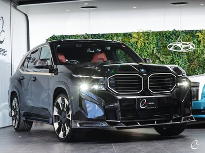 2023 BMW XM — фото 14