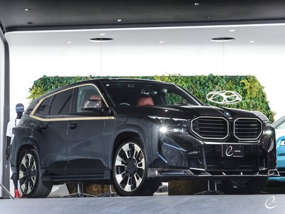 2023 BMW XM — фото 11
