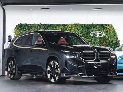2023 BMW XM — фото 1