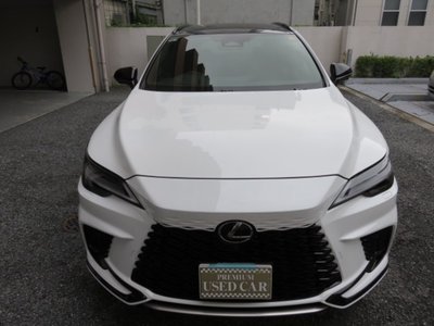 2025 Lexus RX — миниатюра 3