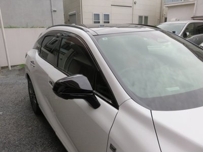 2025 Lexus RX — миниатюра 8