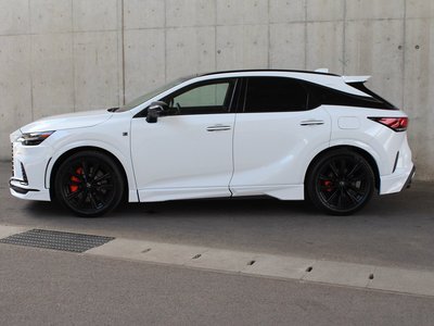 2023 Lexus RX 照片 5