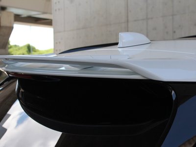 2023 Lexus RX 照片 16