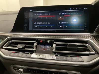 2021 BMW X6 thumbnail 20