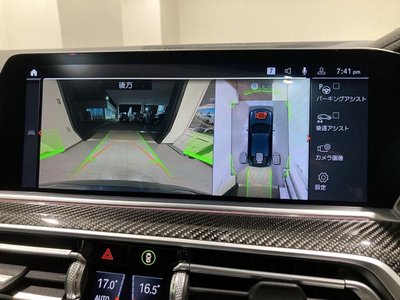 2021 BMW X6 thumbnail 17