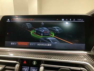2021 BMW X6 thumbnail 19