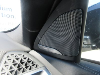 صورة مصغرة 28 لـ 2025 BMW X6