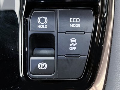 صورة 25 لـ 2025 Toyota ALPHARD