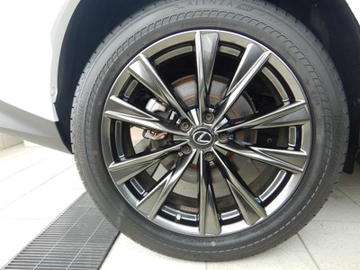2023 Lexus NX 照片 20