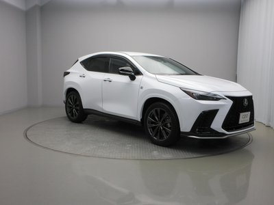 2023 Lexus NX 照片 7