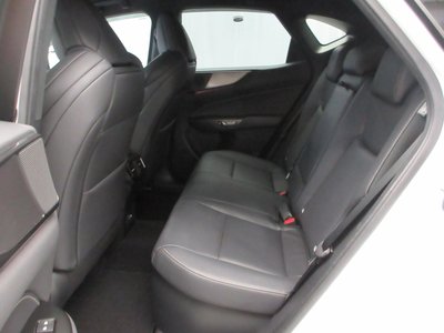 2023 Lexus NX 照片 11