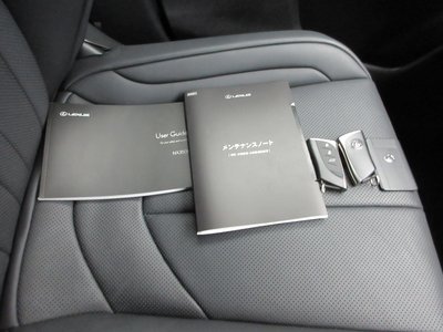 2023 Lexus NX 照片 19