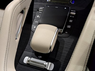 2020 Mercedes-BENZ GLS thumbnail 36