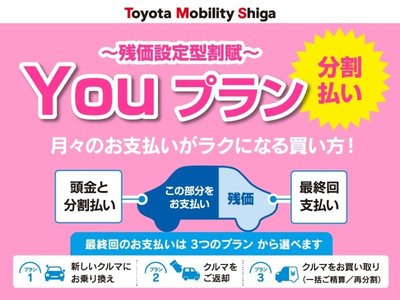 2025 Toyota ALPHARD — фото 39
