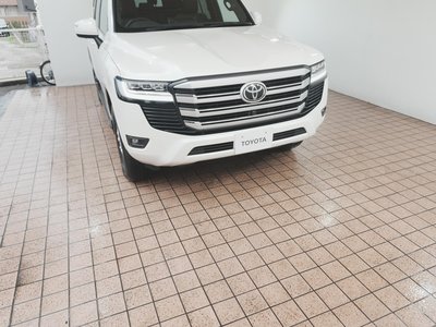 2025 Toyota LAND CRUISER 300 photo 13