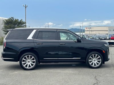 2021 Cadillac ESCALADE 照片 46